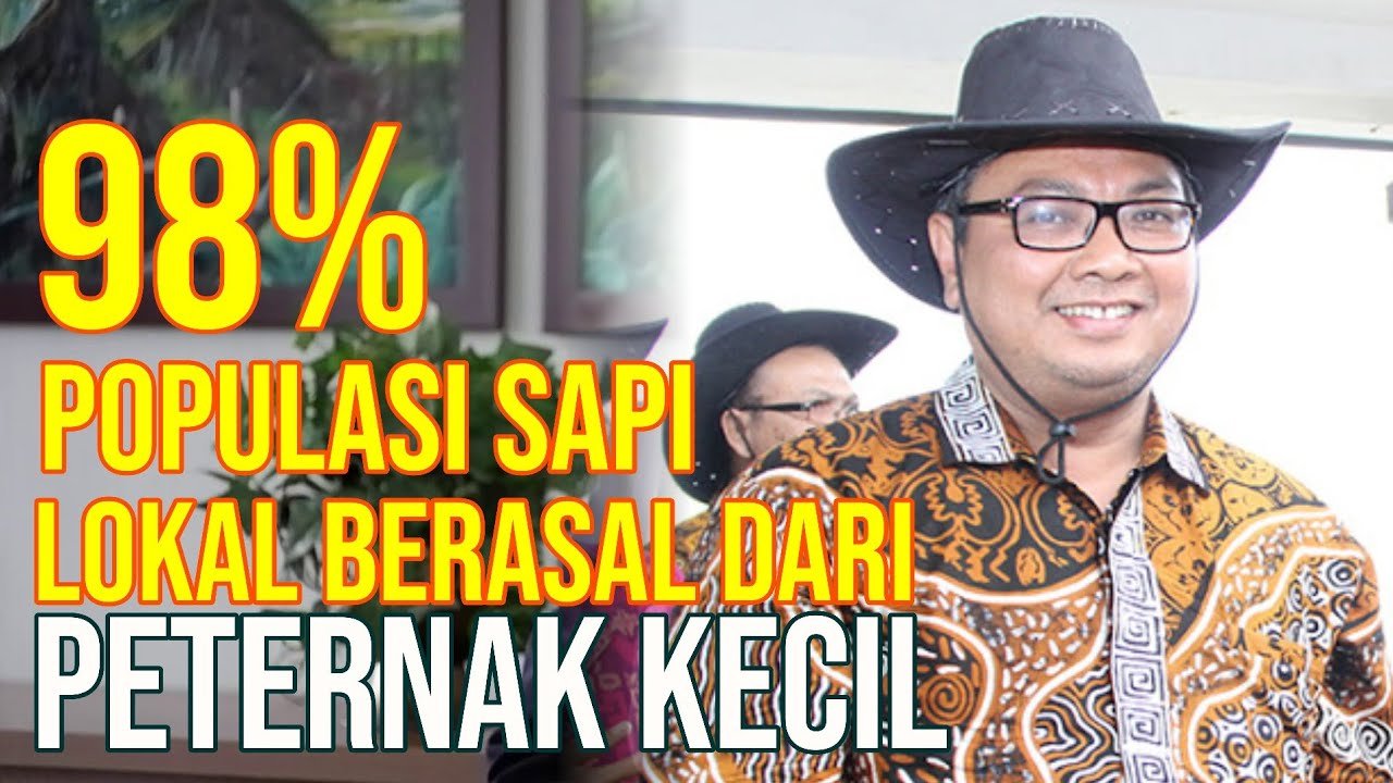 Peternak Desa Sumber Populasi Sapi Lokal Indonesia.jpg